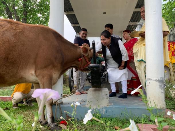 Maharani Kriti Singh Debbarma petting the cow