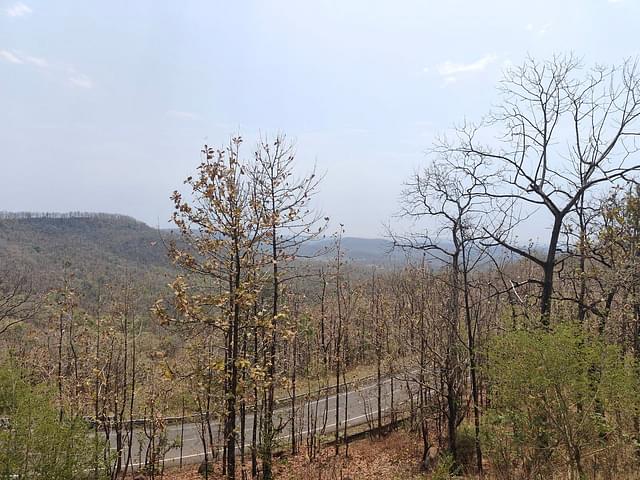 A valley view of Chhindwara, amid the jungle in the region.