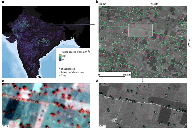 Image sourced from the study published in the journal Nature Sustainability. Basemap in a from Natural Earth. Credit: b, d, Google Earth; c, Planet Labs PBC.