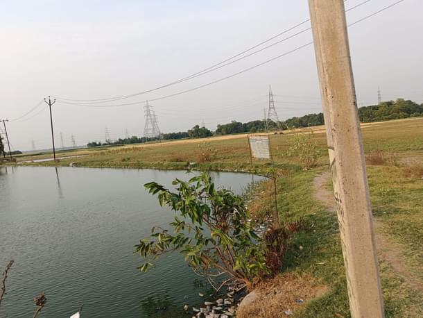Pond for storing rain water