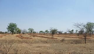 Parched landscapes in the Purandar constituency along the Supa-Memane Pargaon Road. Contrast this with the lush green fields near Baramati.