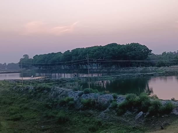 Ponds outside Kaiser's house