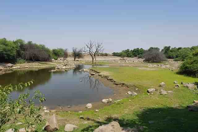 Unusable dead water stock in the Memane Pargaon Village Lake in Pune District.