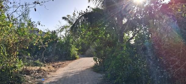 Paved streets in Dumadiya Falia.