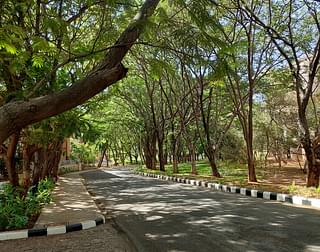 A tree lined road in the VP's Vidyanagari campus. VP's Administrators have taken care to ensure that the campus operates in an eco-friendly manner. Almost all buildings in the campus have solar panels on its roofs. The campus also has its own sewage treatment plant.