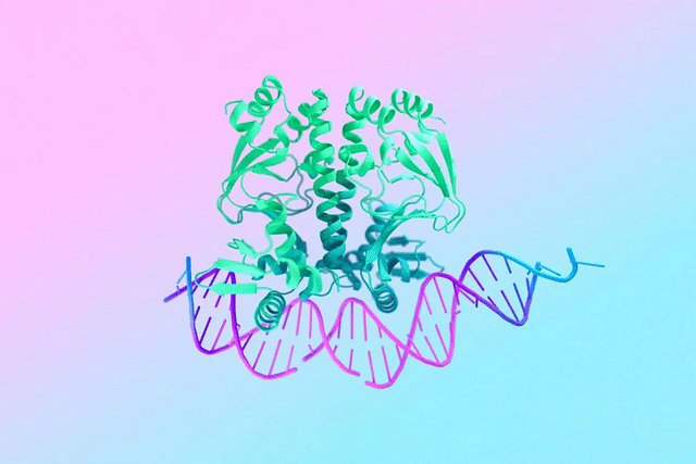 AlphaFold 3 is a new AI model developed by Google DeepMind and Isomorphic Labs.