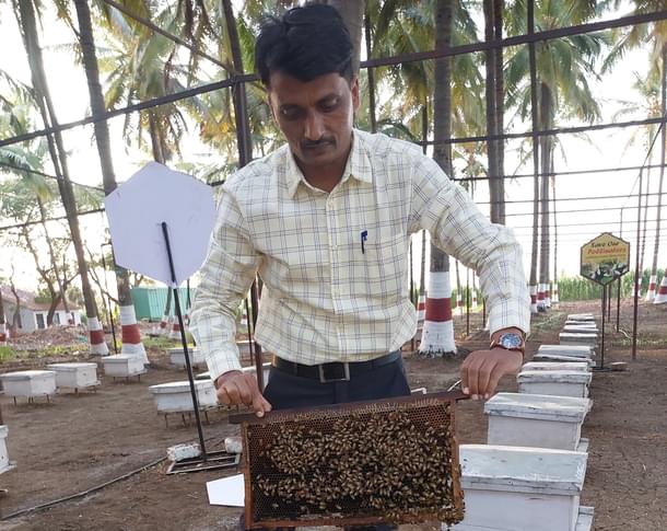 Santosh Godse of the KVK at the apiary displaying a stack full of specially-bred honeybees.
