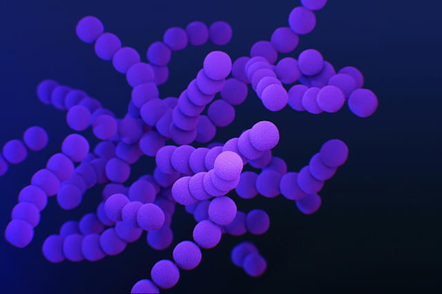 Medical illustration of clindamycin-resistant group B Streptococcus bacteria (Photo by CDC on Unsplash)