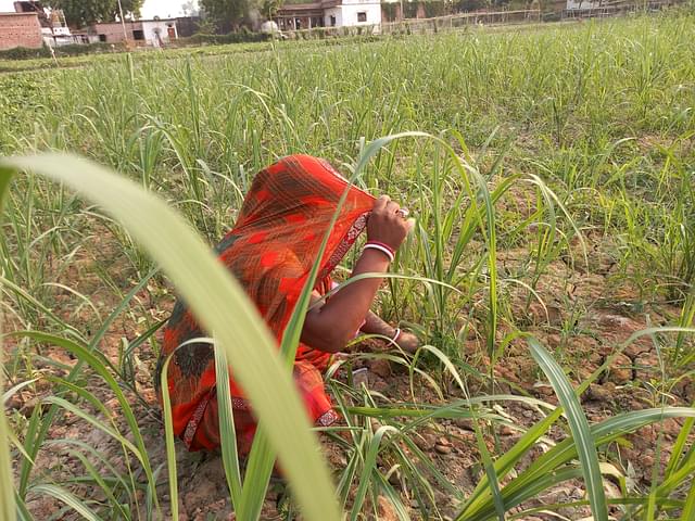 Madhu at her field (Image credit: Sumati Mehrishi)