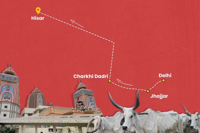 Post-Poll Journeys, Dispatch 1: What's The Mood Like In Haryana?