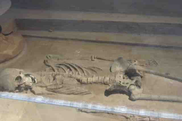 Human skeleton found at Rakhigarhi