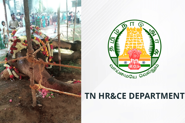 Tamil Nadu: Temple Elephant Subbulakshmi Dies Due To Injuries Sustained In Fire, BJP Alleges Neglect By HR&CE Department