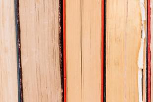 Agendas of well-written books are difficult to identify but more dangerous