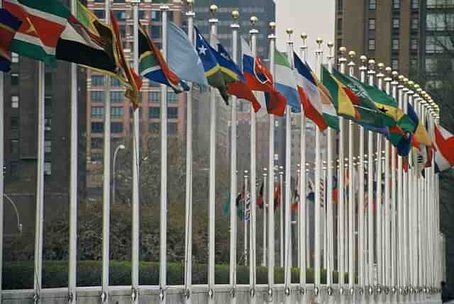 UN Members' flags—Representative Image/Wikimedia Commons