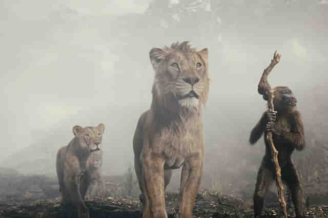 Still from Mufasa: The Lion King