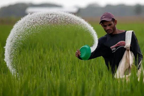 A farmer using fertilizer (Representative Image)
