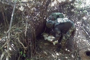 A rifle buried in the Namdhapa Tiger Reserve being recovered