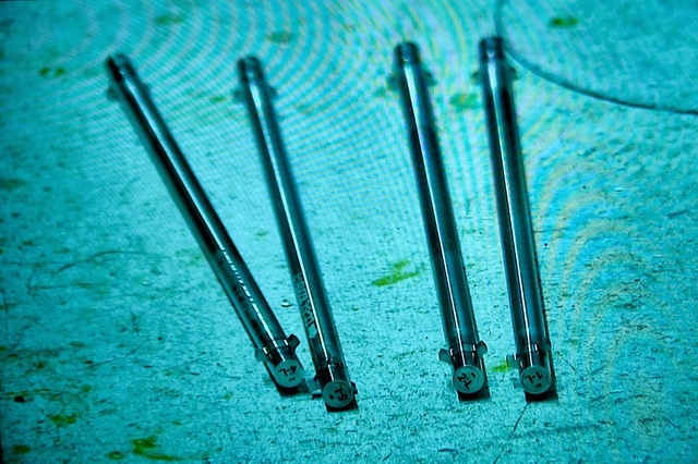 Under water photo of irradiated ANEEL fuel rodlets in ATR canal