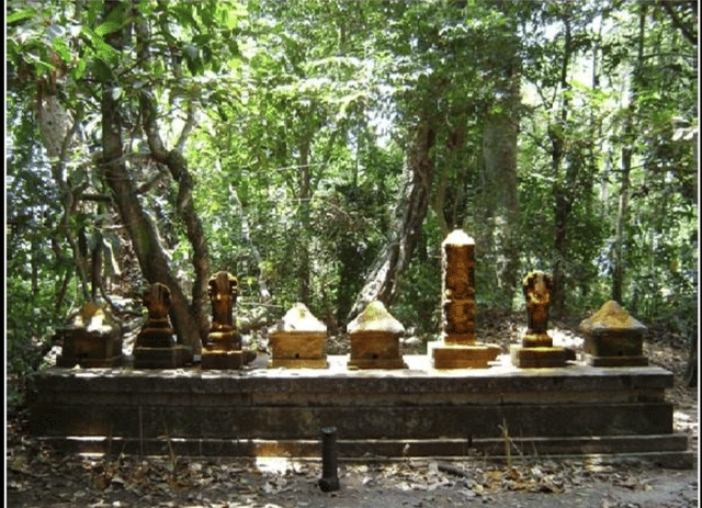 Devrai- the sacred groves of Maharashtra