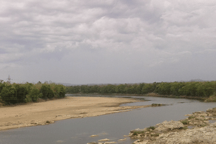 Wainganga river
