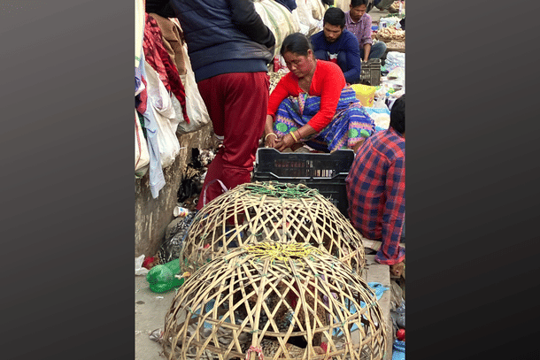 A tribal woman sells local chicken and duck meat at a temporary spot on the footpath opposite of Uzanbazar market.