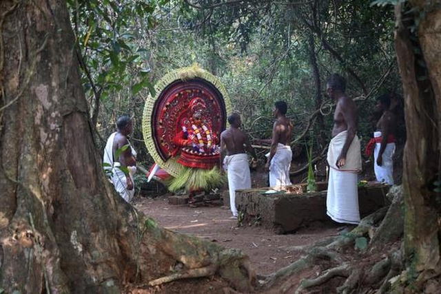 Ensuring Sacred Groves Do Not Go The Temple Way: Harmonising Tradition, Conservation, And Governance