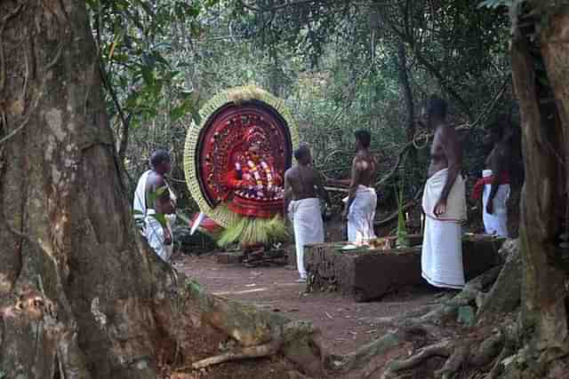 A theyyam ritual inside a sacred grove in Kasaragod (The Hindu)