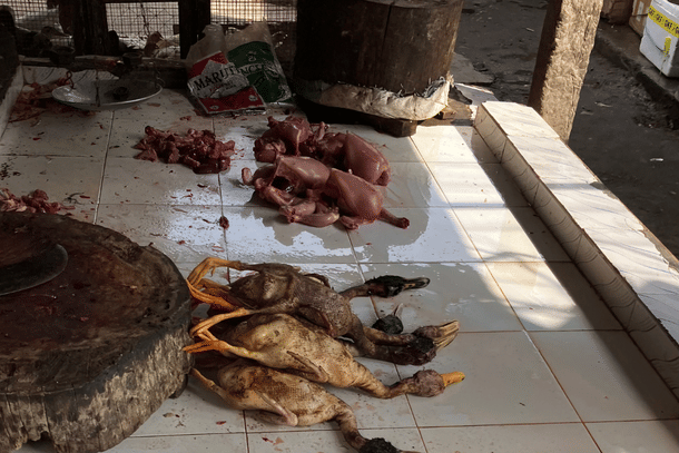 Chicken and duck being sold at Uzanbazar market. Halal meat sellers have permanent spaces in the market.
