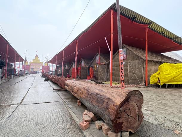 A massive tree trunk brought by the saints to hoist their dharma dhwajya (religious flag)(Ankit Saxena/Swarajya)