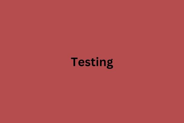 TestingImage