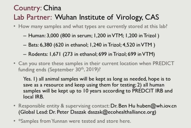USAID PREDICT sample deposition plan shows that 6,380 bat samples, along with 3,000 human samples and 1,671 rodent samples, were stored in WIV freezers.