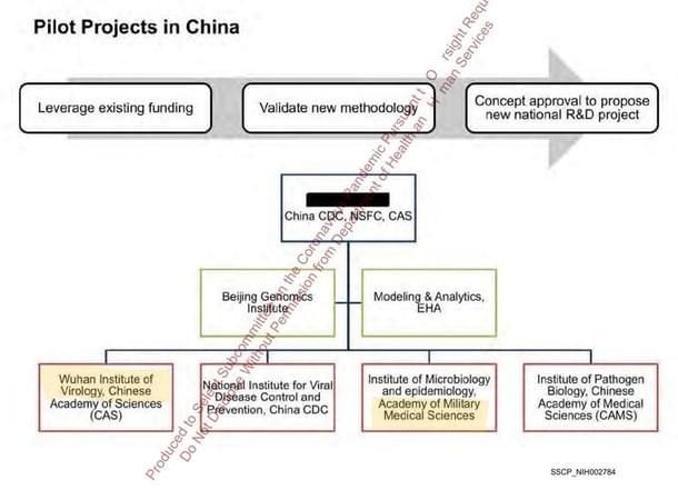 A China Virome Project slide lists the institutes and funding agencies involved.