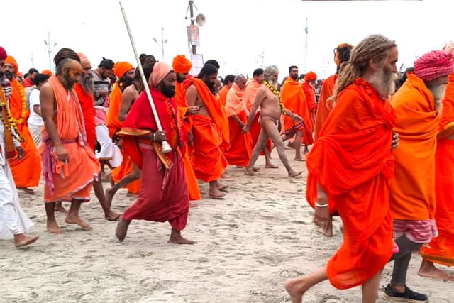 Sadhus at the 2025 Maha Kumbh