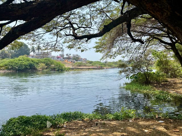 The Cauvery