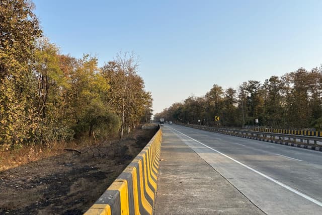 The author, along with others, undertook a journey from Ernakulam in Kerala to Prayagraj and back. This image is from the Pench National Park in Madhya Pradesh.