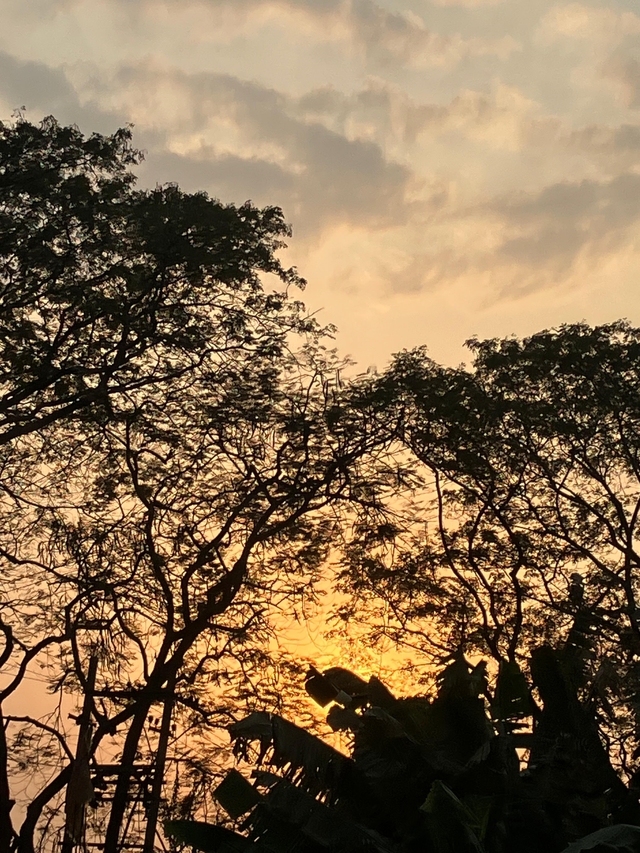 A majestic sunset at Mayong