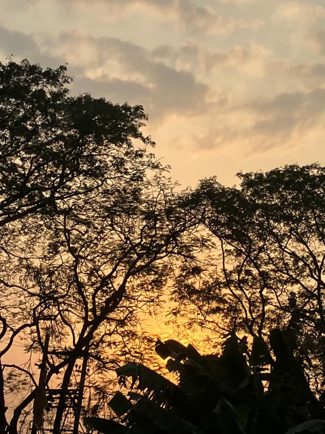 A majestic sunset at Mayong