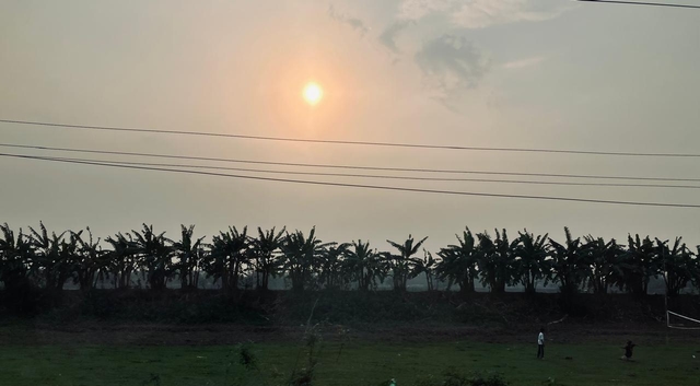 The Sun sets across a field of banana trees in Barpeta