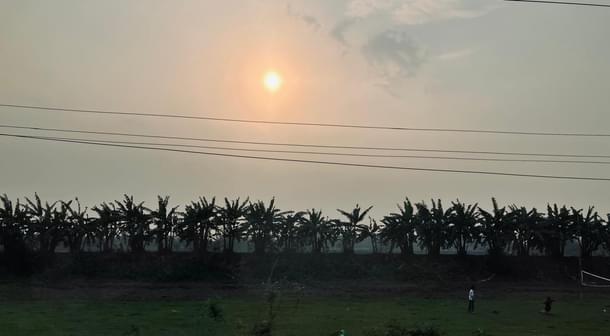 The Sun sets across a field of banana trees in Barpeta