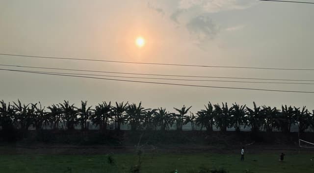 The Sun sets across a field of banana trees in Barpeta