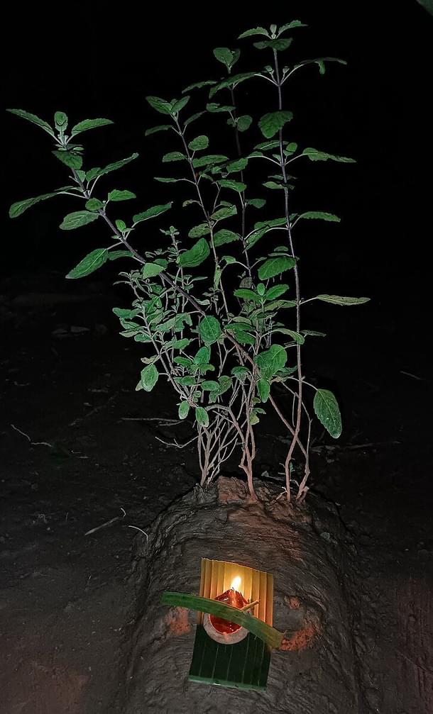 Sacred lamp offered to the Tulsi plant on Kati Bihu (Source: Wikimedia Commons)
