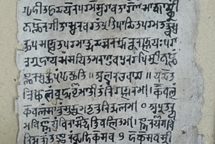 The Bhagavadgita Manuscript