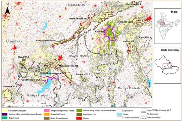 Map of Kuno-Gandhi Sagar cheetah metapopulation landscape in Madhya Pradesh 
and Rajasthan