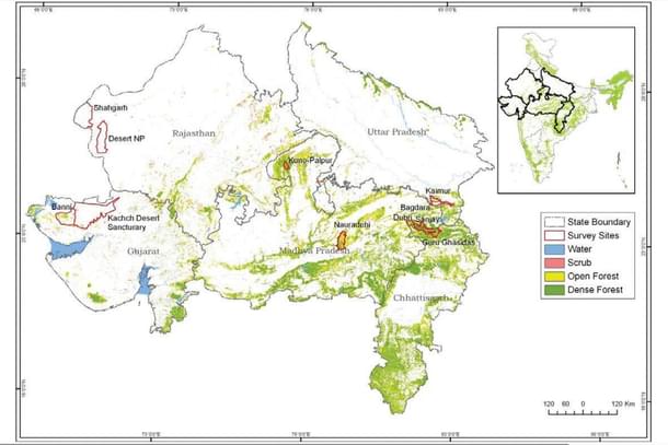 The identified sites for Project Cheetah