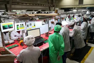 iPhone assembly by Tata Electronics