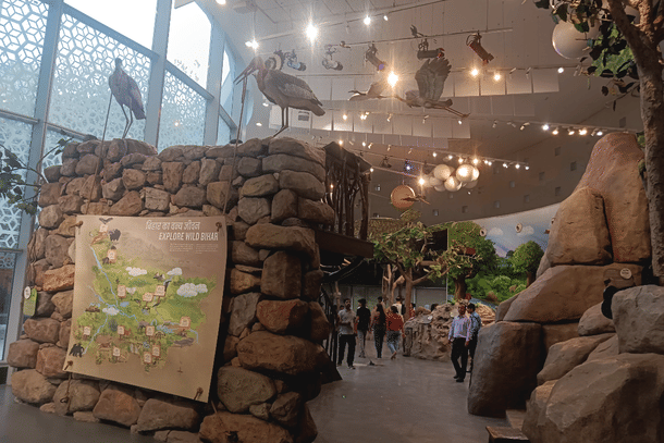 Wildlife zone for children