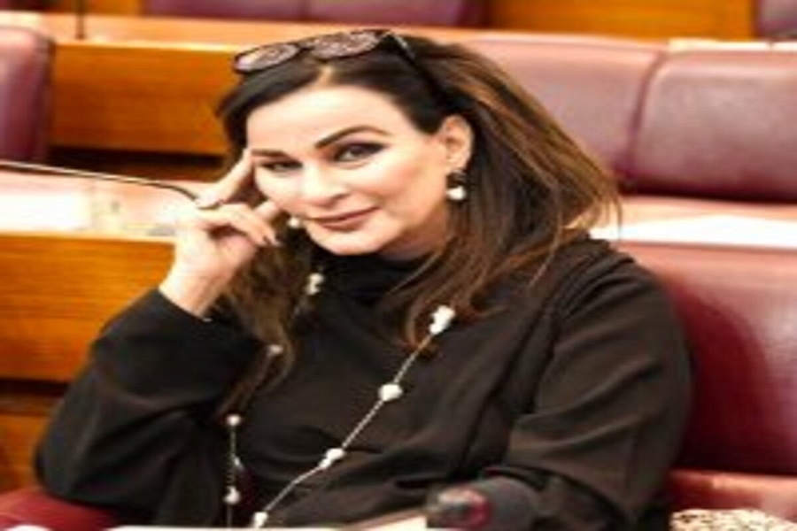 Pakistani Senator Dodges Questions on Al-Qaeda Linked Brigade 313
