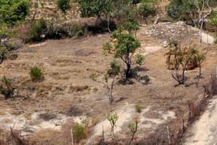Samba Village in Jammu (Nitin Kanotra/Hindustan Times via Getty Images)
