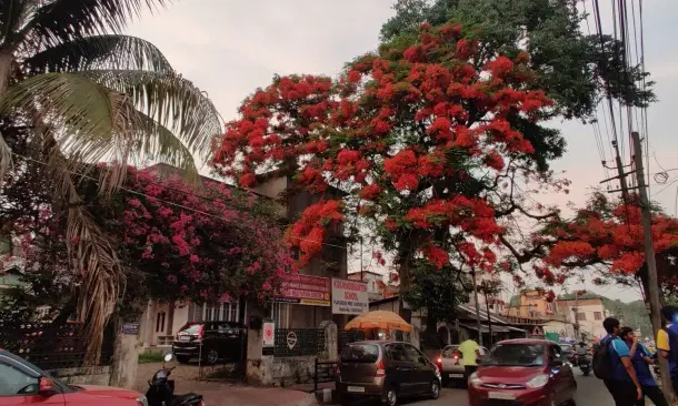 Uzan Bazar's Bhuban Road.