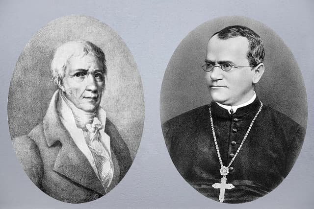 Lamarck (left) and Gregory Mendel (right) :two competing theories of inheritance.